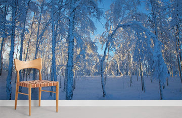 Serene Winter Forest Landscape Wall Mural