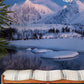 winter snowy forest and mountains photo murals