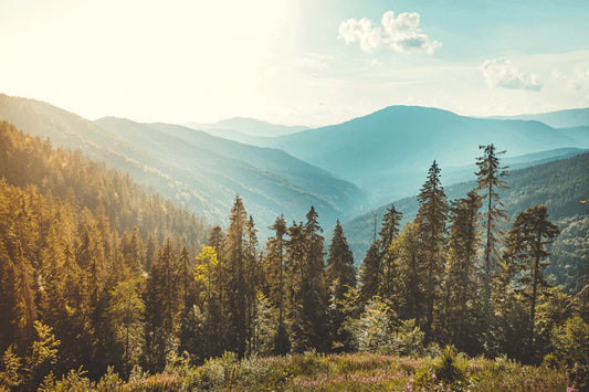 Home decor wallpaper of a mountain valley sunset