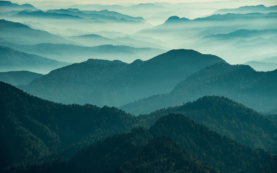 wall mural featuring misty green mountains, perfect for use as home décor