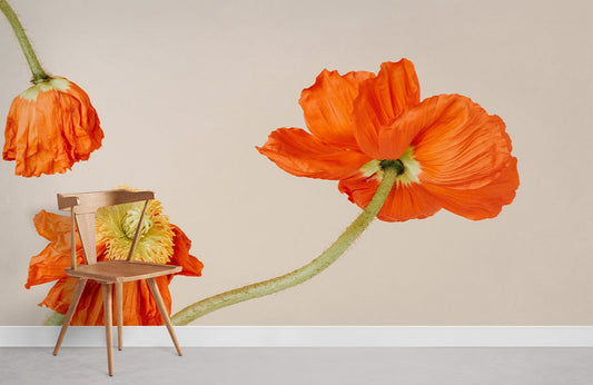 Wallpaper Mural in Room Featuring Orange Poppy Flowers