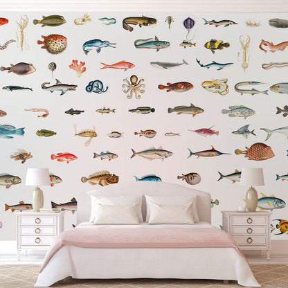 Colorful Marine Life Illustration Mural Wallpaper in bedroom