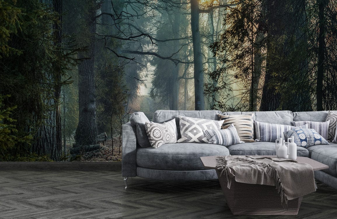 Foggy Woods Path Living Room Mural Wallpaper