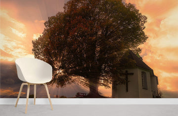 Sunset Silhouette Tree Landscape Mural Wallpaper