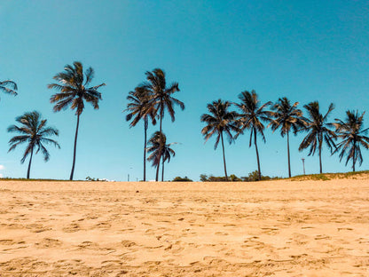 blue sky, cozy beaches and trees wall decoration art