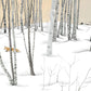 Winter Birch Forest Mural Wallpaper