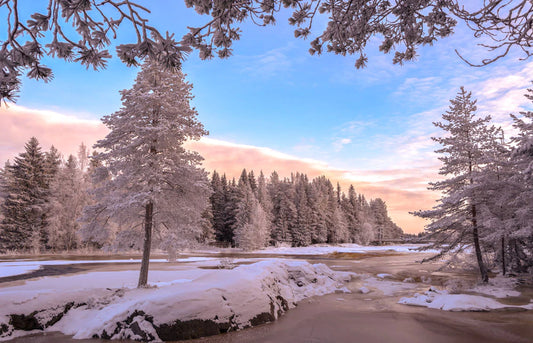 cloud snowy forest wallpaper mural design art