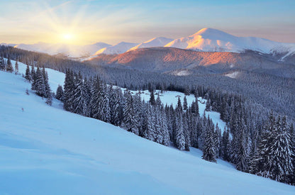 sunshine, snowy mountain and forest custom wallpaper