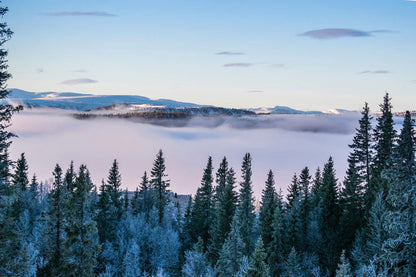 Unique blue mountain and forest wallpaper mural design for home