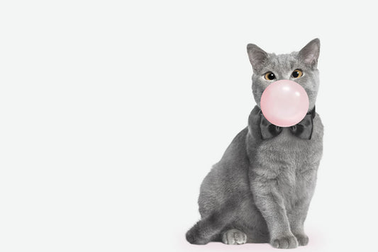 Wallpaper with a Russian blue and pink bubble pattern.