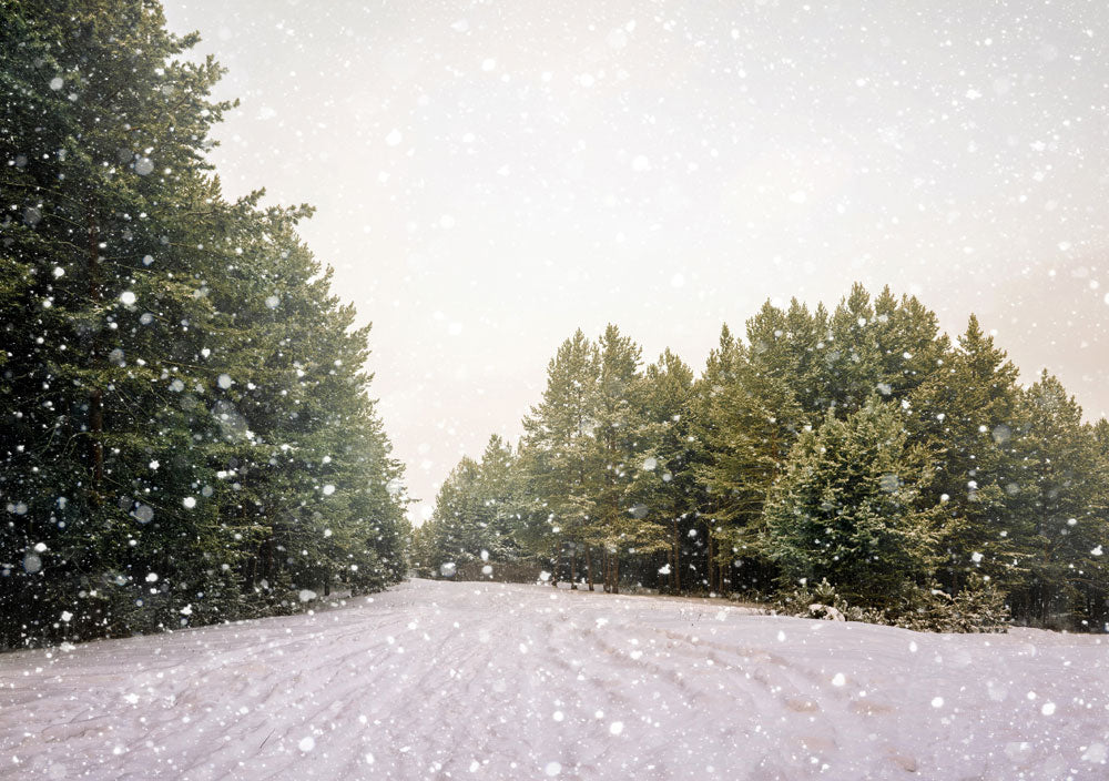 a snowy day in forest road mural decoration