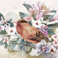 wallpaper murals of a bird perched on a flower with its beak outstretched