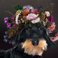 Beautiful schnauzer wall murals wallpaper with flowers on its head
