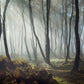 dewfall in forest with sunshine poured in wallpaper design