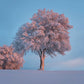 lonely snowy tree wallpaper mural design art