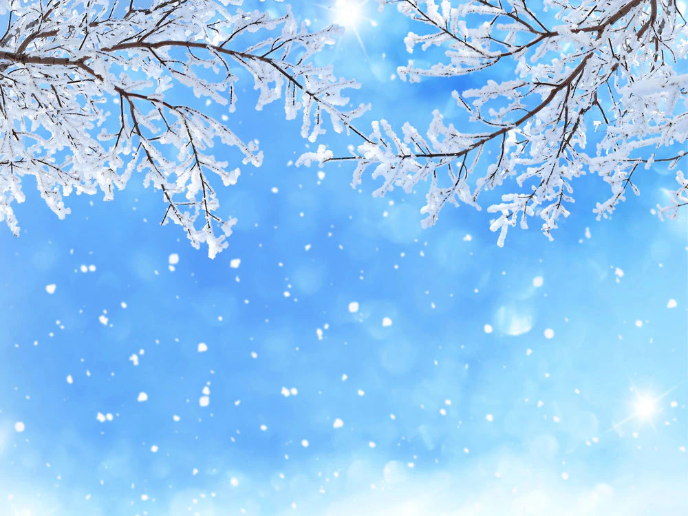 Winter Snowfall Blue Sky Mural Wallpaper