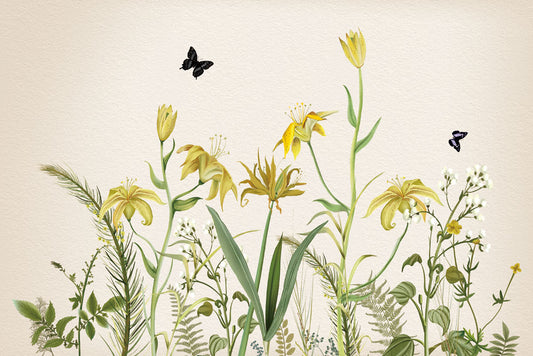 Wall mural wallpaper with two butterflies and a field of yellow blooming flowers.