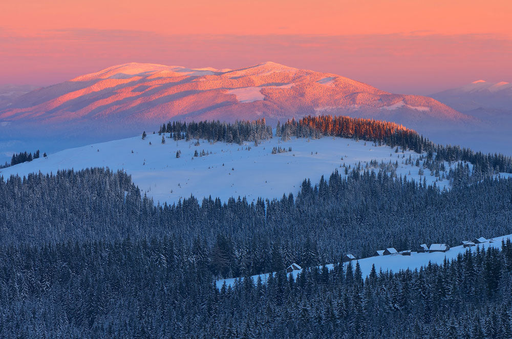 snowy mountains and forest under dreamy sunshine wallpaper for room