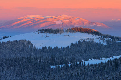 snowy mountains and forest under dreamy sunshine wallpaper for room