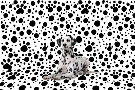 Wall murals wallpaper with a spotted dog and a spotted backdrop