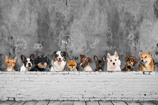 wallpaper mural depicting dogs in various moods and states of mind