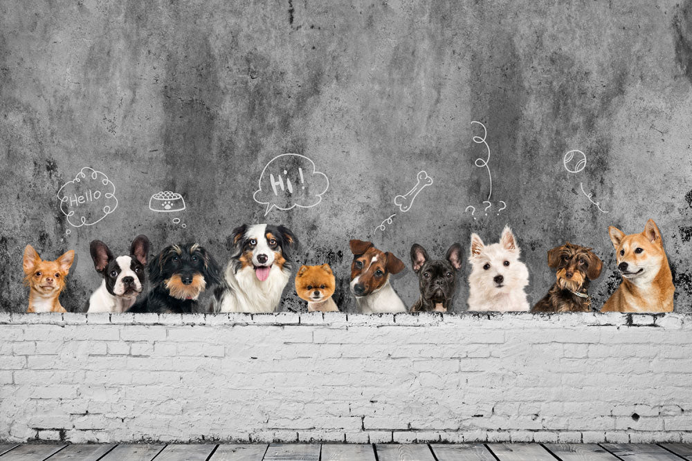 Charming Canine Graffiti Mural Wallpaper