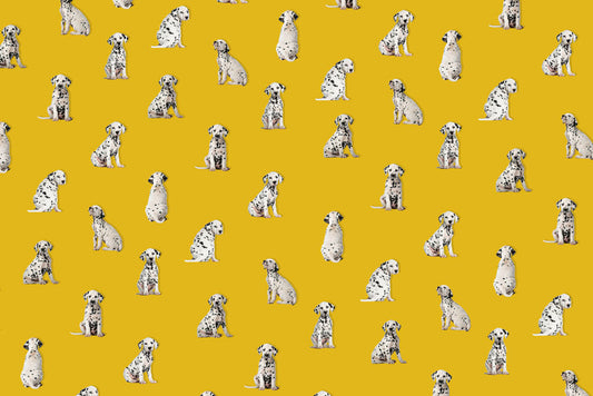 spotted dog puppies in yellow background wall murals wallpaper