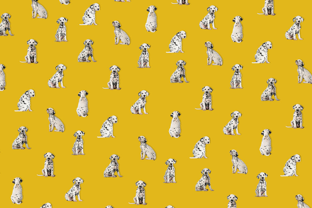 Whimsical Dalmatians Yellow Kids Mural Wallpaper