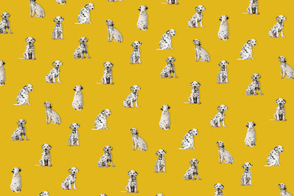 spotted dog puppies in yellow background wall murals wallpaper