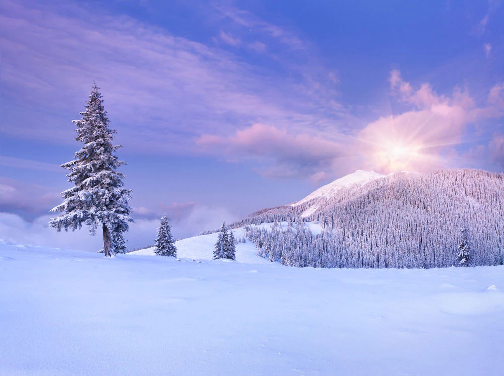 Serene Winter Mountain Landscape Mural Wallpaper