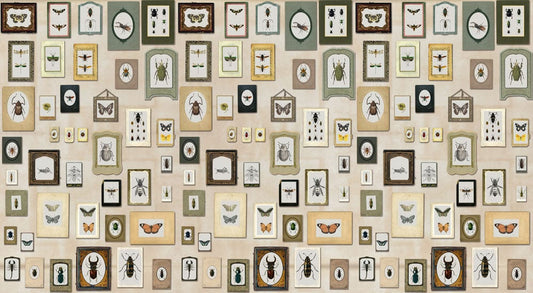Insect Specimen Wallpaper Mural