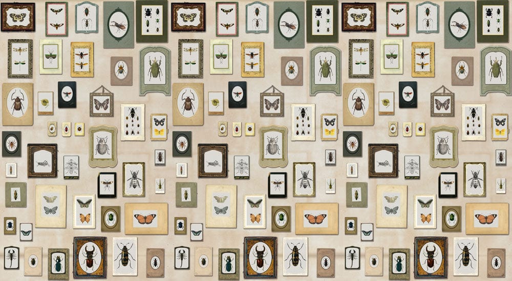 Vintage Botanische Insektenillustration Wandtapete