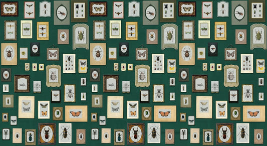 Insect Specimen Wallpaper Mural II