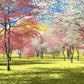 trees in garden all bloomed in spring pink theme aesthetic mural