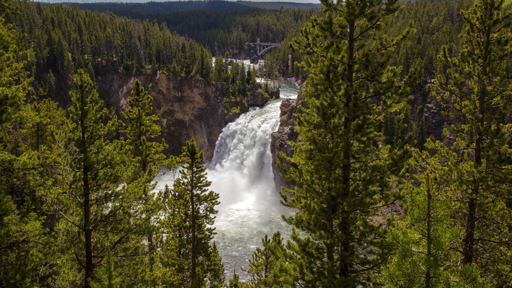 great waterfall and vibrant forest customized wallpaper