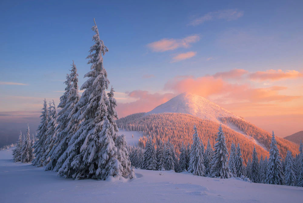 dreamy sky coloured snowy mountain and trees  custom wallpaper