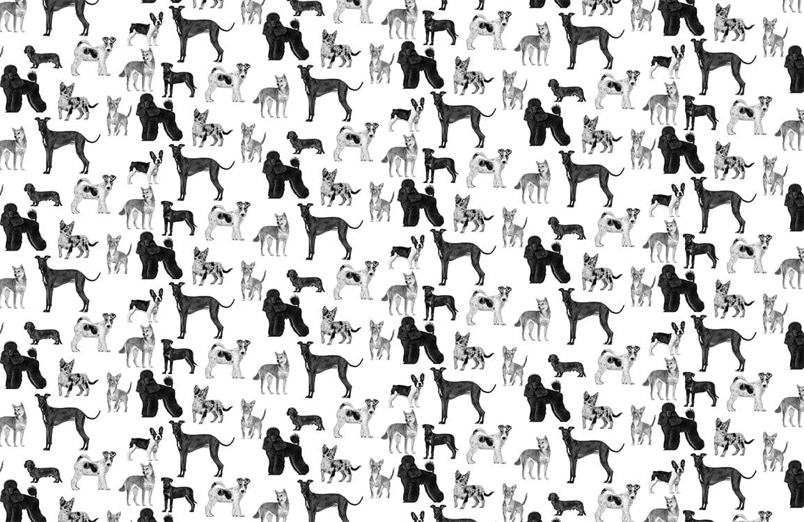 Murale di Carta da Parati con Razze di Cani in Bianco e Nero