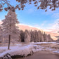 snowy trees and streams under blue sky wallpaper design
