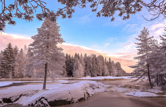 snowy trees and streams under blue sky wallpaper design