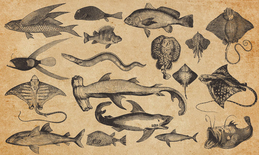 Wallpaper mural featuring a vintage scene of marine life, perfect for interior decorating