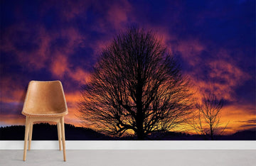 Sunset Silhouette Tree Mural Wallpaper