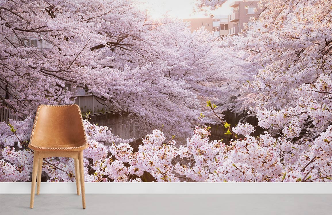 pink sakura season on street custom wallpaper