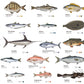 Fish Species Ocean Wall Mural Wallpaper for Home Decoration