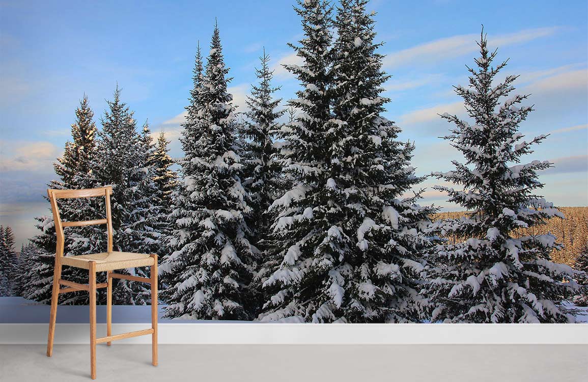 snowy pine trees under blue sky wallpaper for home