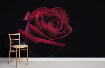 Elegant Red Rose Dark Mural Wallpaper