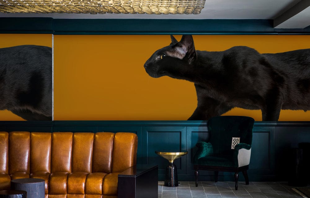 wall mural of a black cat with orange backdrop for cat lovers