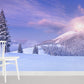 snow covered mountain photo murals design