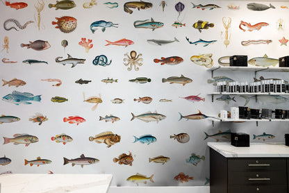 Colorful Marine Life Illustration Mural Wallpaper