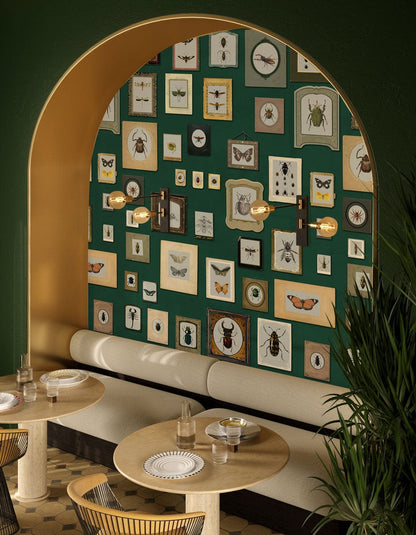 Vintage Entomology Framed Illustrations Mural Wallpaper in dining area