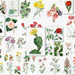Plant and Flower Scenery Wallpaper Mural for Interior Design of Homes